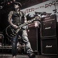 Click to enlarge GutterPunk - Professional Concert Photography